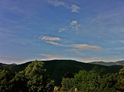 Imagen de la habitación del Hotel Appartementhaus Sonne. Foto 16