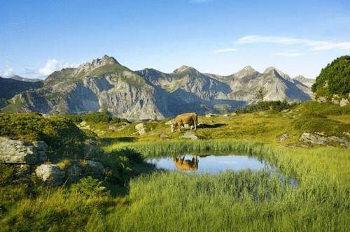 Imagen general del Hotel Appartements Sunshine. Foto 9