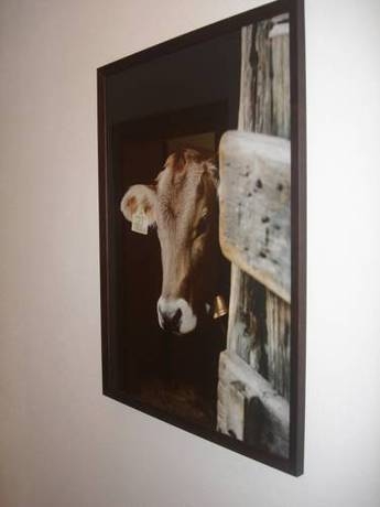 Imagen general del Hotel Appartements Wanner. Foto 3