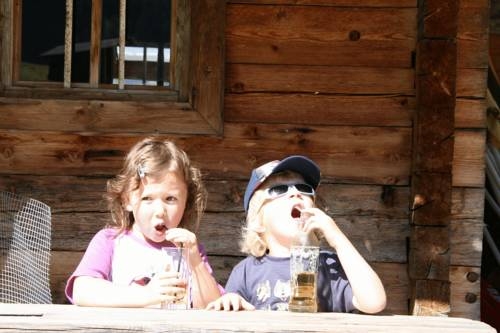 Imagen general del Hotel Appartements Wanner. Foto 4