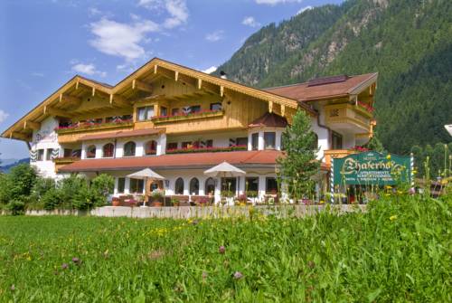 Imagen de la habitación del Hotel Apparthotel Thalerhof. Foto 10