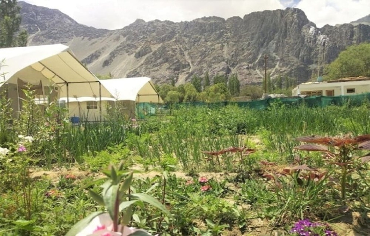 Imagen general del Hotel Apple Cottage Nubra - Glamping. Foto 4