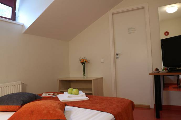 Imagen de la habitación del Hotel Apple Economy. Foto 5