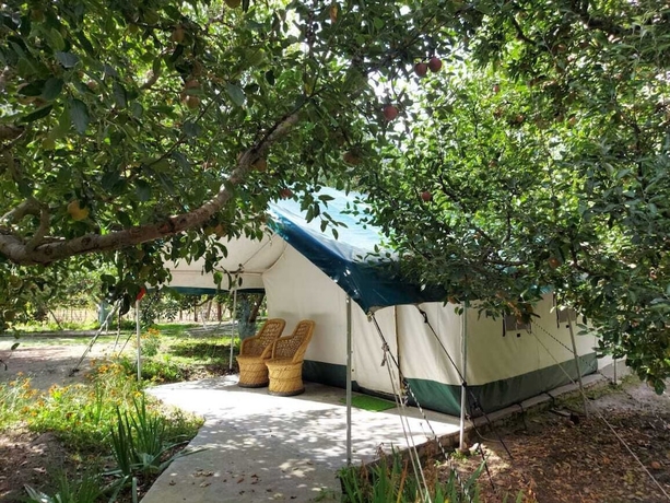 Imagen de la habitación del Hotel Apple Orchard Farm and Camping. Foto 9