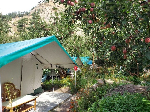 Imagen de la habitación del Hotel Apple Orchard Farm and Camping. Foto 13