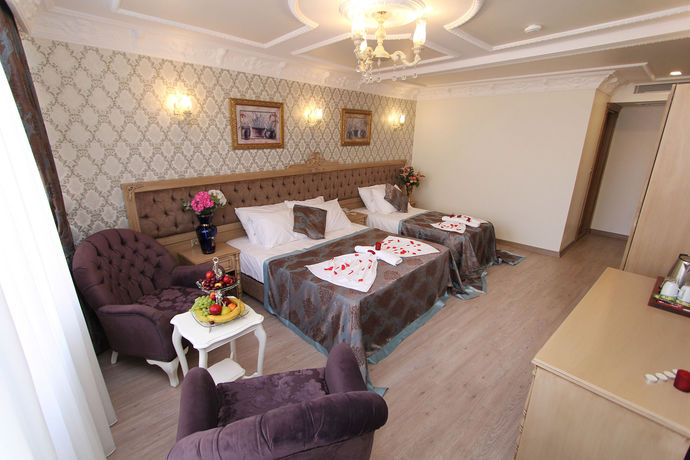 Imagen de la habitación del Hotel Apple Tree, Estambul. Foto 7