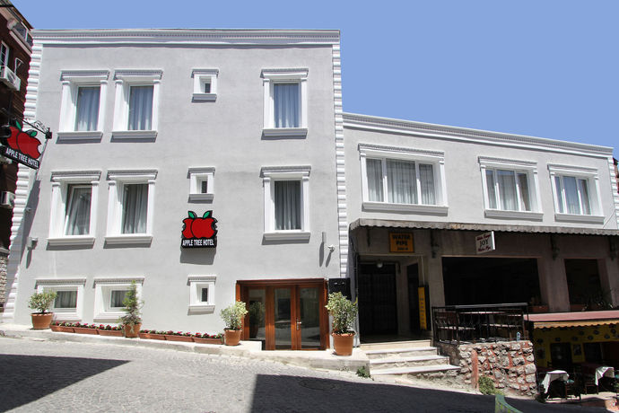 Imagen general del Hotel Apple Tree, Estambul. Foto 1