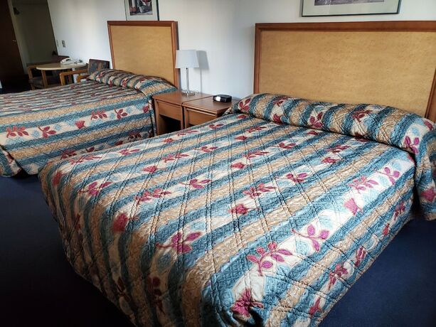 Imagen de la habitación del Hotel Apple Tree Inn. Foto 15