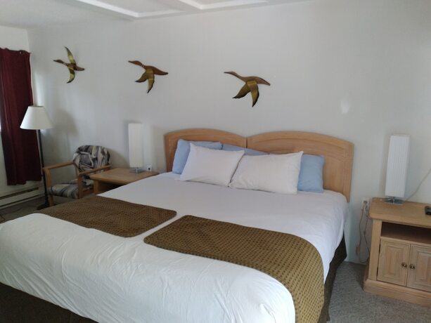Imagen de la habitación del Hotel Apple Tree Inn, Radium Hot Springs. Foto 12
