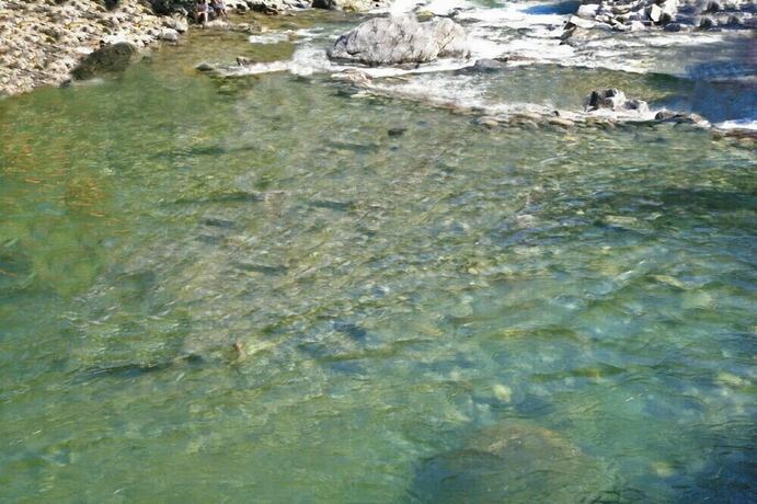 Imagen general del Hotel Apple farm stay. Foto 7