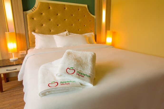 Imagen general del Hotel Appleton. Foto 10