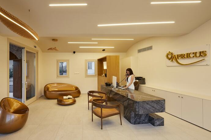 Imagen general del Hotel Apricus Suites. Foto 7