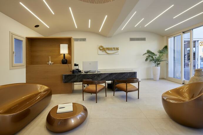 Imagen general del Hotel Apricus Suites. Foto 9