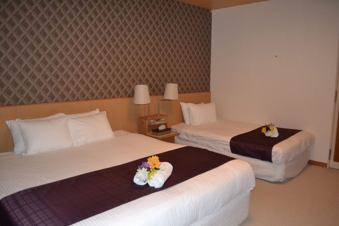 Imagen de la habitación del Hotel Aqua Alpine. Foto 9