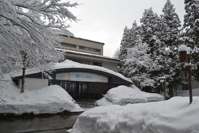 Imagen general del Hotel Aqua Alpine. Foto 1