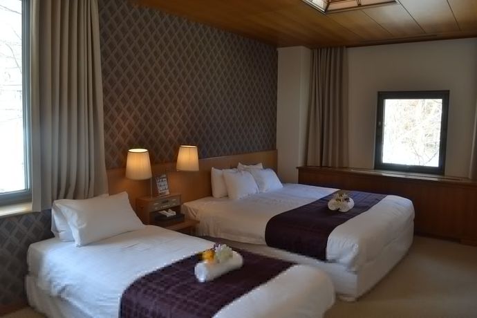 Imagen de la habitación del Hotel Aqua Alpine. Foto 12