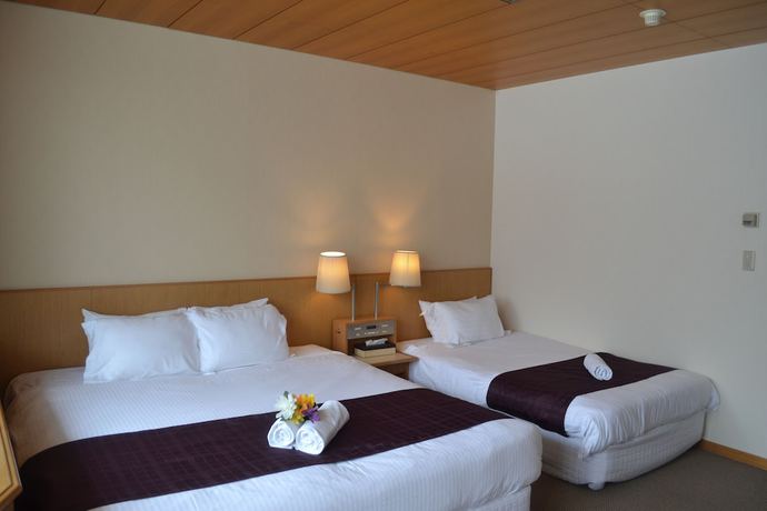 Imagen de la habitación del Hotel Aqua Alpine. Foto 15