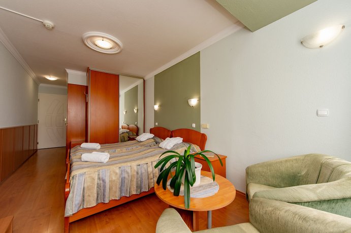 Imagen de la habitación del Hotel Aqua Blue, Hajduszoboszlo. Foto 9