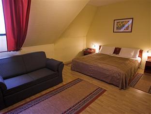 Imagen de la habitación del Hotel Aqua Eger. Foto 4