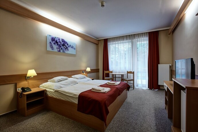 Imagen de la habitación del Hotel Aqua Term&aacute;l. Foto 23
