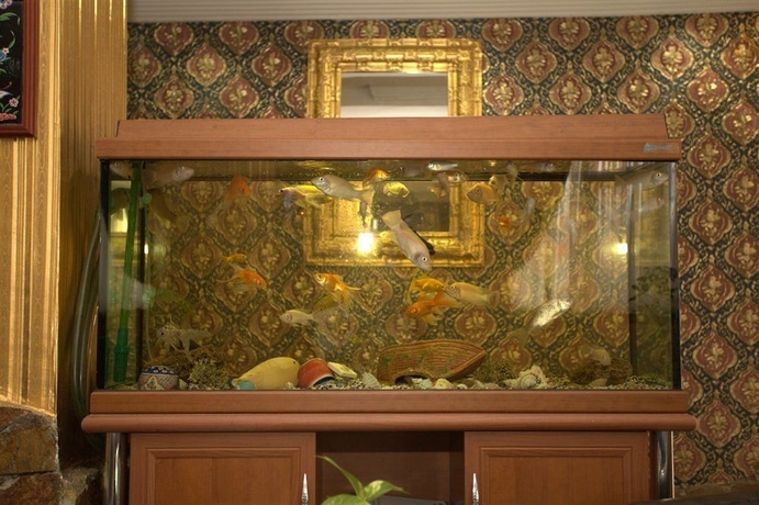 Imagen de los interiores del Hotel Aquarium, Fatih. Foto 17