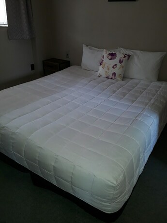 Imagen de los interiores del Hotel Aquarius Motor Inn, HAMILTON. Foto 20