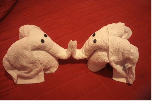 Imagen general del Hotel Aquarius Vend&eacute;gh&aacute;z. Foto 10