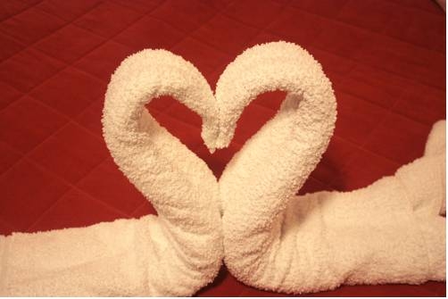 Imagen general del Hotel Aquarius Vend&eacute;gh&aacute;z. Foto 11