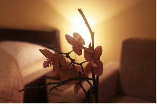 Imagen general del Hotel Aquarius Vend&eacute;gh&aacute;z. Foto 12