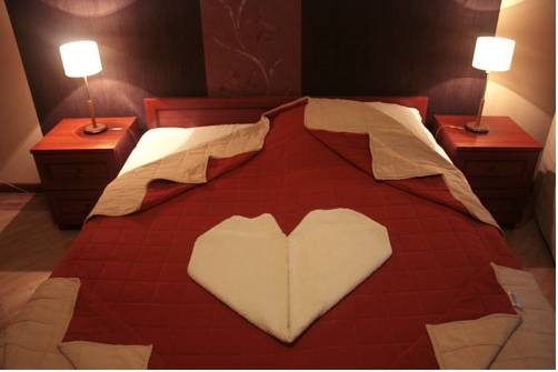 Imagen general del Hotel Aquarius Vend&eacute;gh&aacute;z. Foto 13