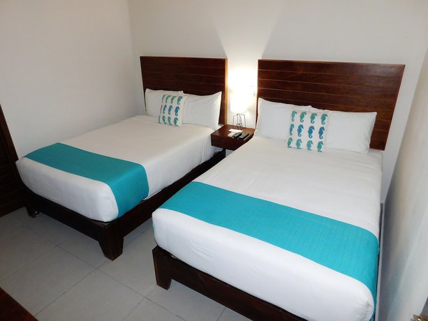 Imagen de la habitación del Hotel Aquastar and Apartments. Foto 18