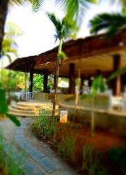 Imagen de la habitación del Hotel Aquatica Resort and Spa. Foto 9