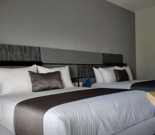 Imagen de la habitación del Hotel Aquetzalli. Foto 15