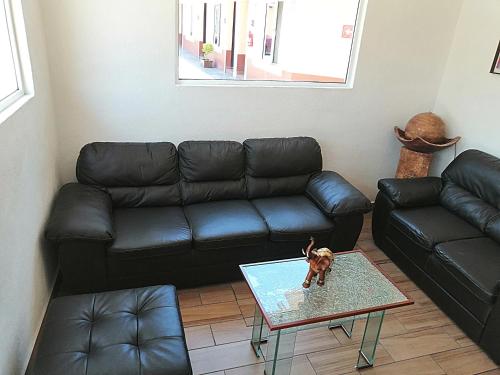 Imagen general del Hotel Aquiles. Foto 11
