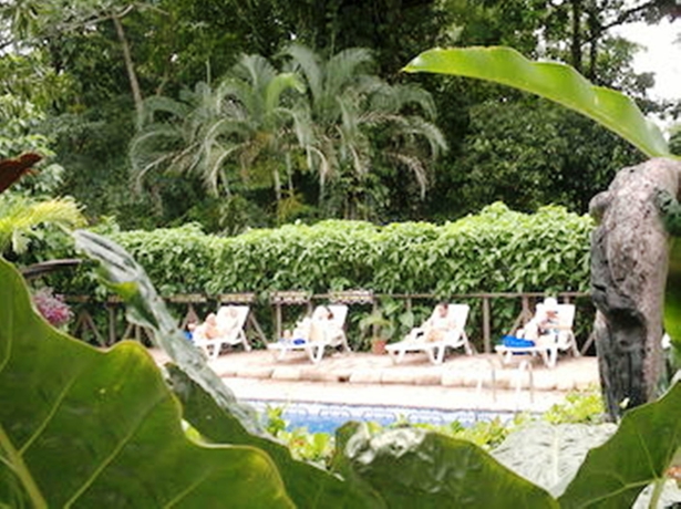 Imagen de la piscina del Hotel Ara Ambigua Lodge. Foto 15