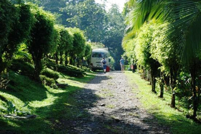 Imagen de los exteriores del Hotel Ara Ambigua Lodge. Foto 8