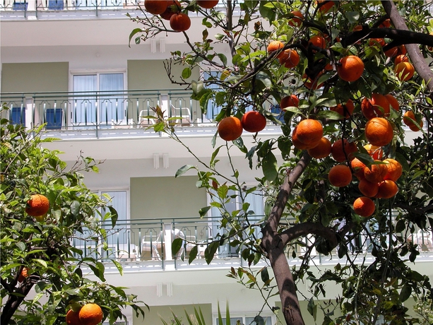 Imagen de los exteriores del Hotel Ara Maris & Spa. Foto 5