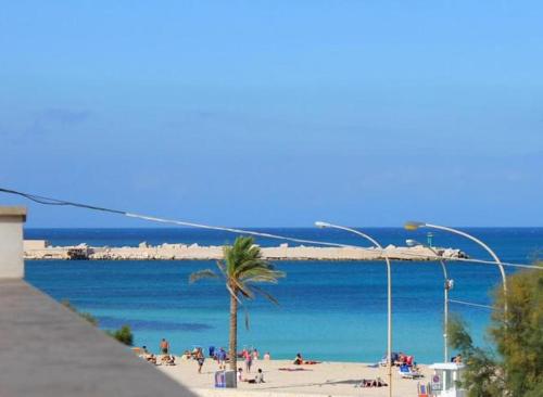 Imagen general del Hotel Araba Fenice, San Vito Lo Capo. Foto 1