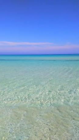 Imagen general del Hotel Araba Fenice, San Vito Lo Capo. Foto 4