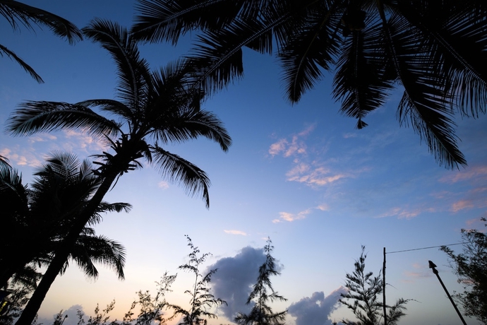 Imagen de la habitación del Hotel Arabian Sands Beach Resort. Foto 11