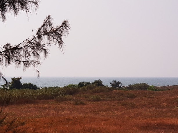 Imagen de la habitación del Hotel Arabian Sands Beach Resort. Foto 13