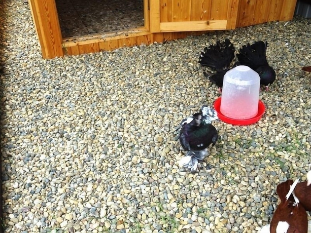 Imagen general del Hotel Aragva. Foto 5