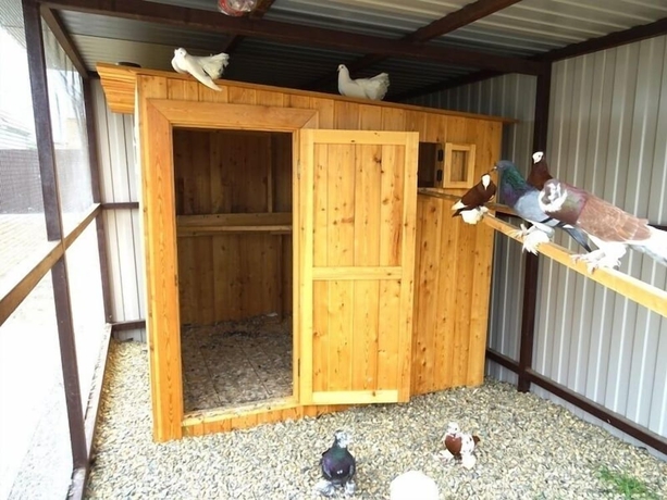 Imagen general del Hotel Aragva. Foto 8