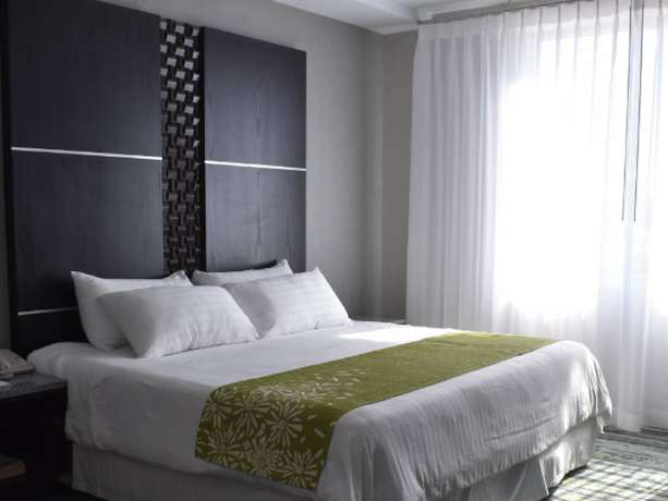 Imagen de la habitación del Hotel Araiza San Luis. Foto 19