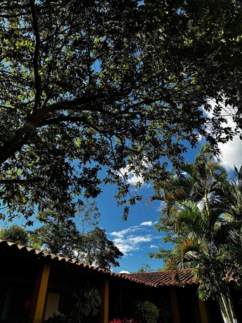 Imagen de los exteriores del Hotel Aramat Heliconias. Foto 11