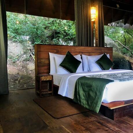 Imagen general del Hotel Arangala Forest Lodge. Foto 14