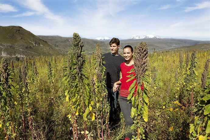 Imagen de los exteriores del Hotel Aranwa Pueblito Encantado Del Colca. Foto 9