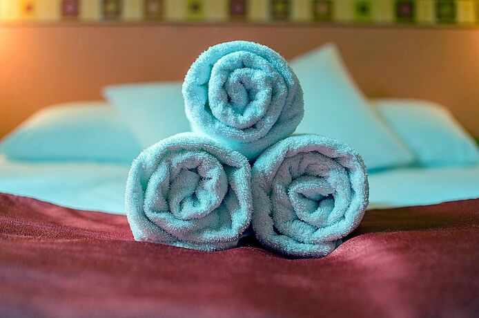 Imagen general del Hotel Arany Patkó Panzió and Étterem. Foto 8