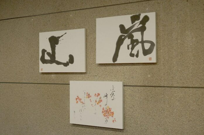 Imagen general del Hotel Arashiyama. Foto 17