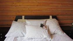 Imagen general del Hotel Aravana. Foto 3